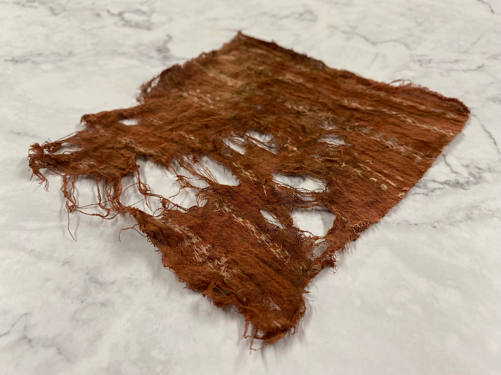 Plants biodegrade. Plastic does not.